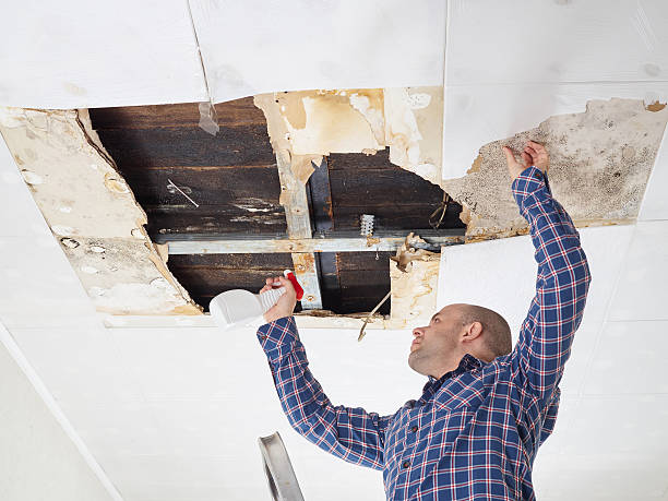 Best HVAC Mold Inspection and Cleaning  in Sweet Home, OR